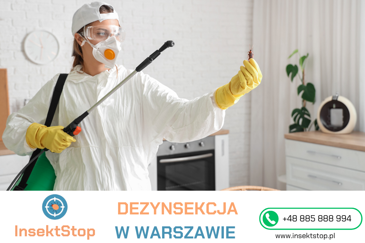 zwalczanie karaluchów InsektStop